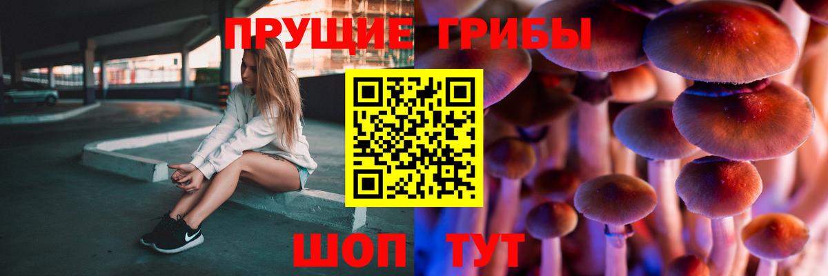 Галлюциногенные грибы GOLDEN TEACHER Славгород