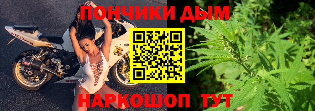 Славгород  Каннабис индика  Бошки Шишки VHQ  МАРИХУАНА марихуана  Вход с VPN 